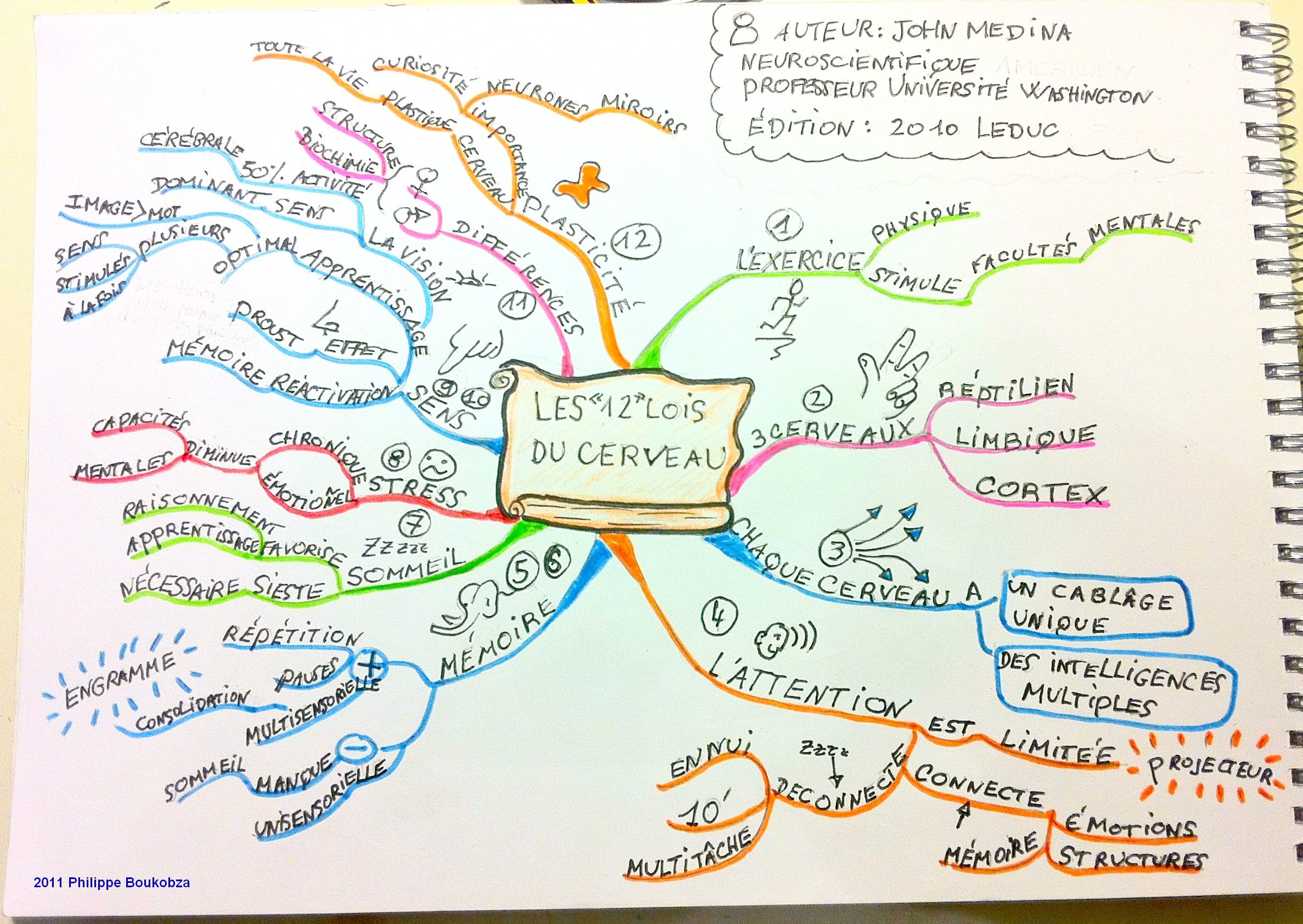 Exemple d'utilisation du Mind Mapping pour prendre des notes intelligemment