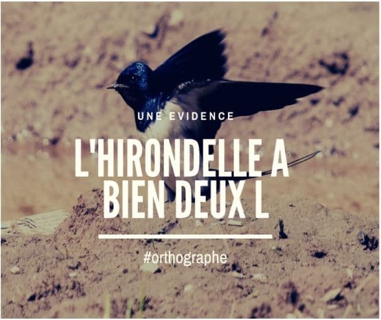 Moyen mnémotechniques pour retenir l'orthographe du mot "hirondelle"