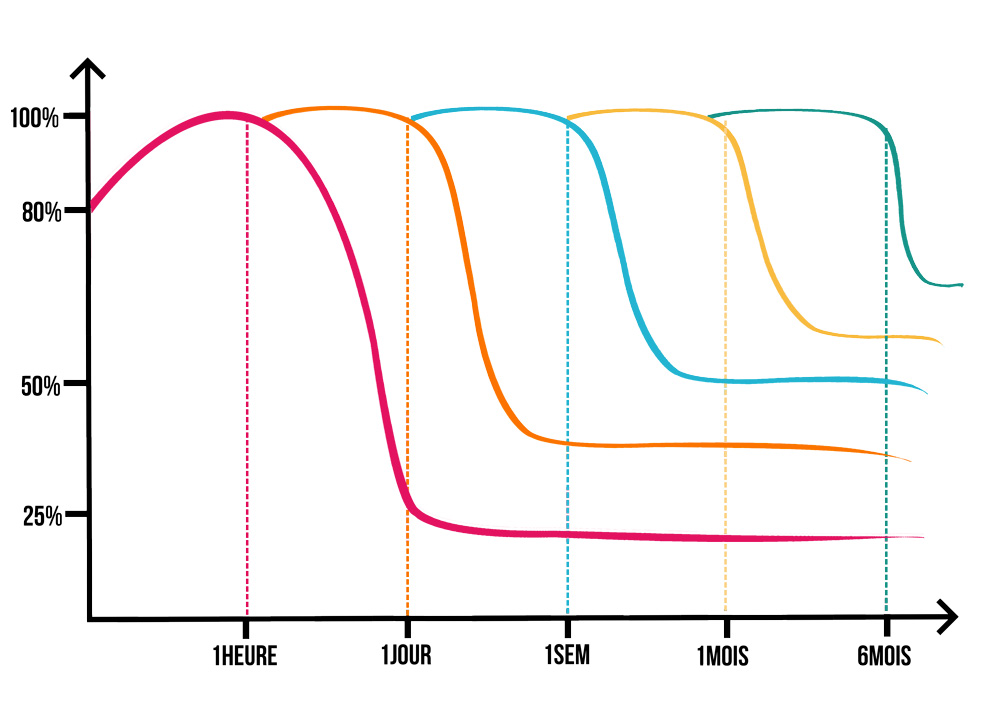 Courbe de l'oubli permettant de mieux orchestrer ses révisions pour retenir durablement
