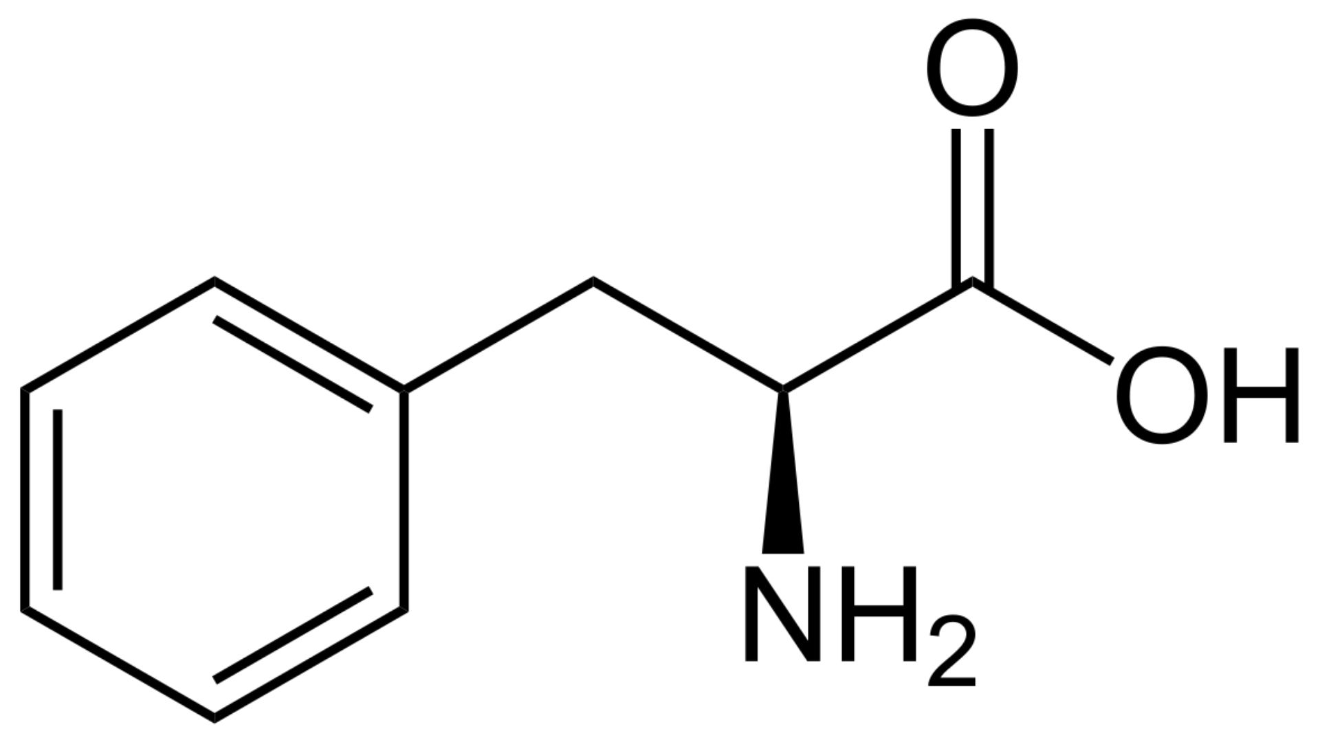 acide aminé phénylalanine
