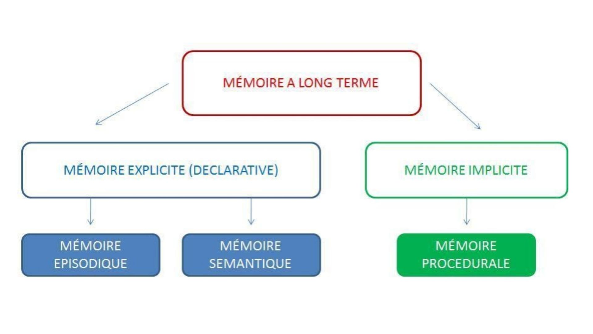 schéma descriptif des différents types de mémoire