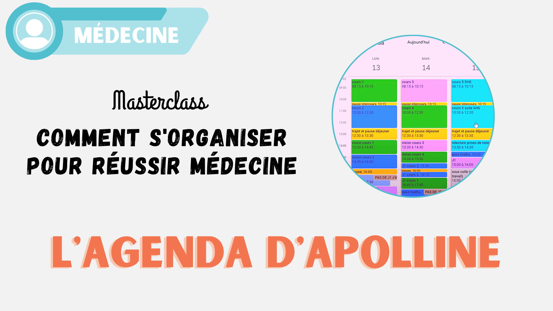 vignette agenda apolline